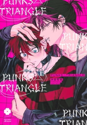 PUNKS TRIANGLE PUNKS TRIANGLE